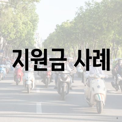 지원금 사례