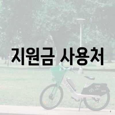 지원금 사용처