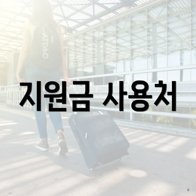 지원금 사용처