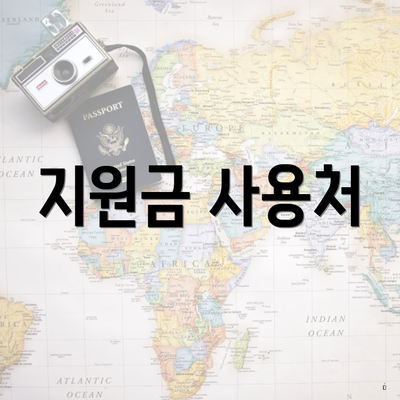 지원금 사용처