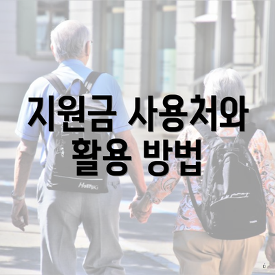 지원금 사용처와 활용 방법