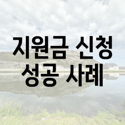 지원금 신청 성공 사례