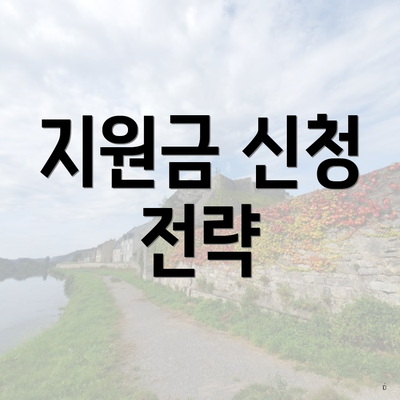 지원금 신청 전략