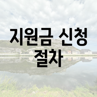 지원금 신청 절차