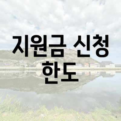 지원금 신청 한도