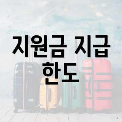 지원금 지급 한도