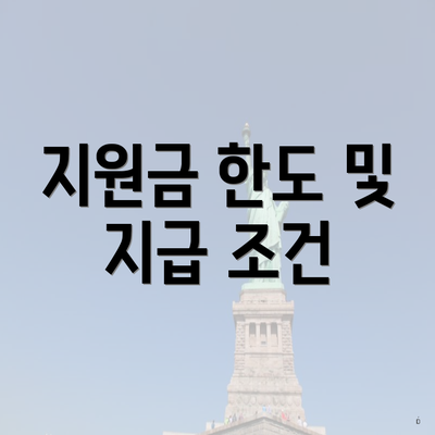 지원금 한도 및 지급 조건