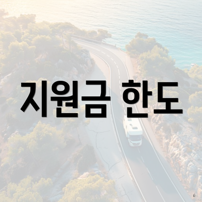 지원금 한도