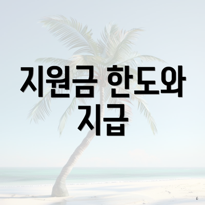 지원금 한도와 지급