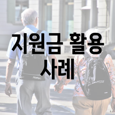 지원금 활용 사례