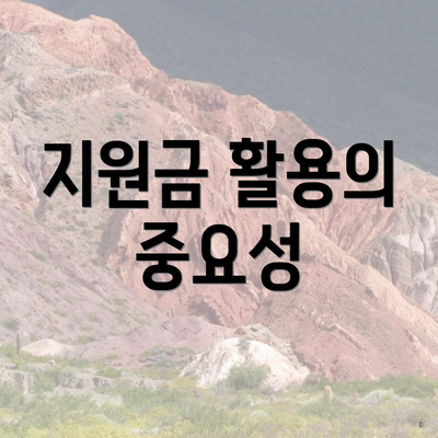 지원금 활용의 중요성