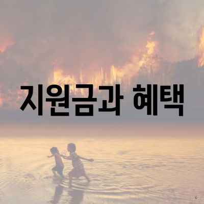 지원금과 혜택