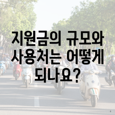 지원금의 규모와 사용처는 어떻게 되나요?