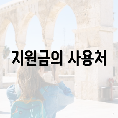 지원금의 사용처