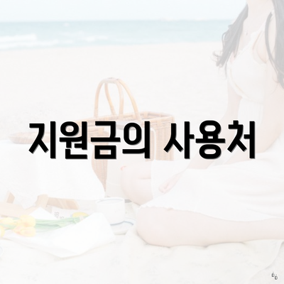 지원금의 사용처
