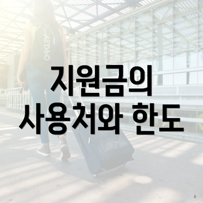 지원금의 사용처와 한도