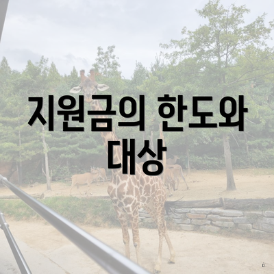 지원금의 한도와 대상