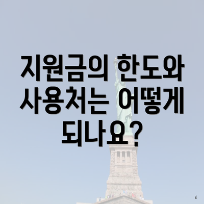 지원금의 한도와 사용처는 어떻게 되나요?
