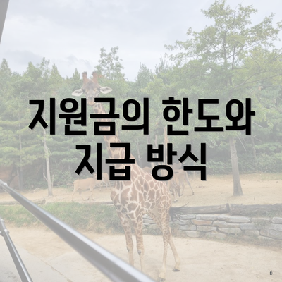 지원금의 한도와 지급 방식