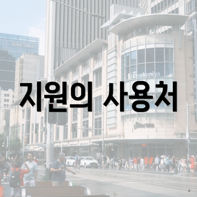 지원의 사용처