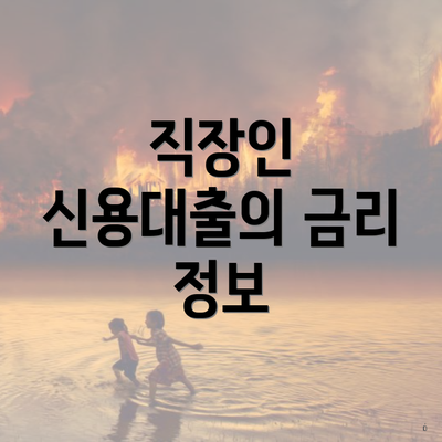 직장인 신용대출의 금리 정보