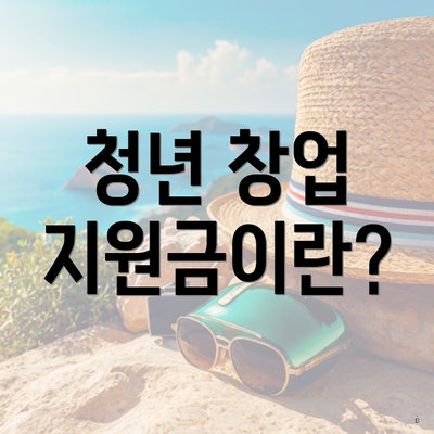 청년 창업 지원금이란?