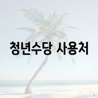 청년수당 사용처