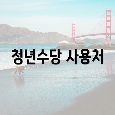 청년수당 사용처