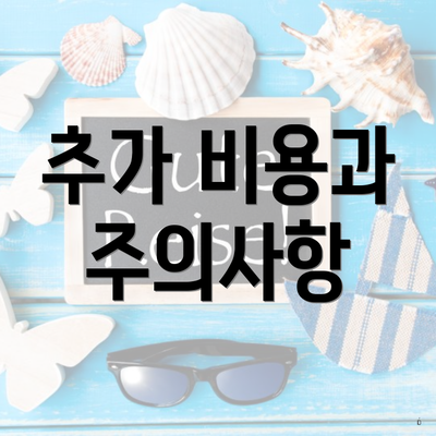 추가 비용과 주의사항