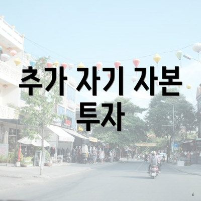 추가 자기 자본 투자