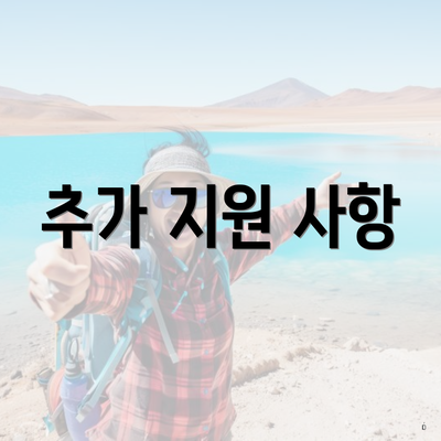 추가 지원 사항