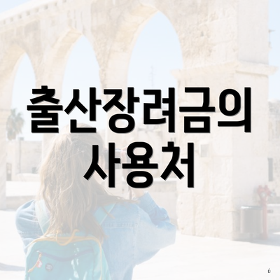 출산장려금의 사용처