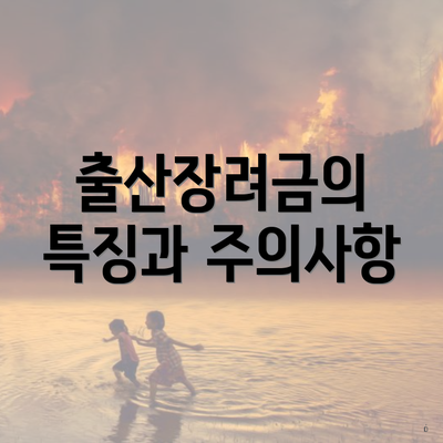 출산장려금의 특징과 주의사항