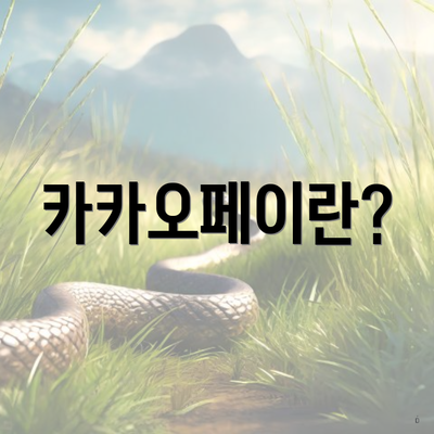 카카오페이란?