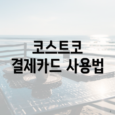 코스트코 결제카드 사용법
