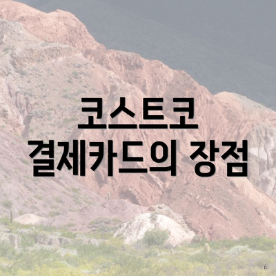 코스트코 결제카드의 장점