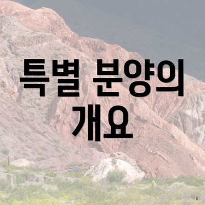 특별 분양의 개요