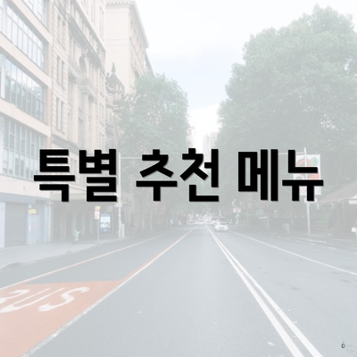 특별 추천 메뉴