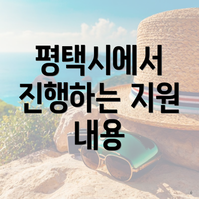 평택시에서 진행하는 지원 내용
