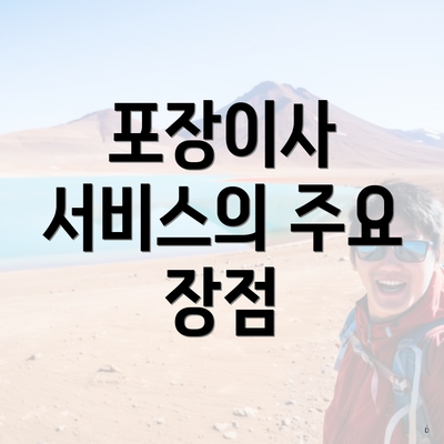 포장이사 서비스의 주요 장점