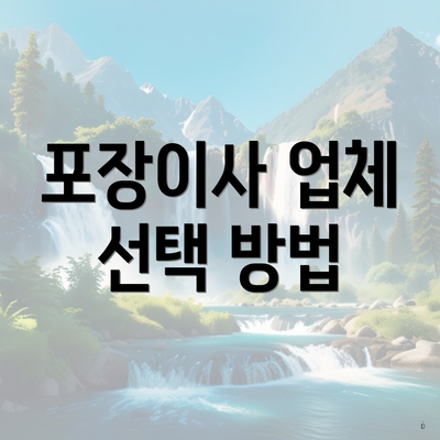 포장이사 업체 선택 방법