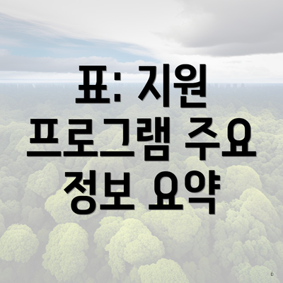 표: 지원 프로그램 주요 정보 요약