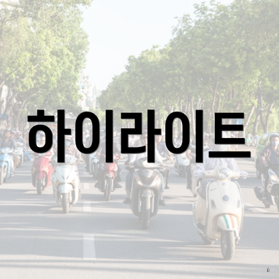하이라이트