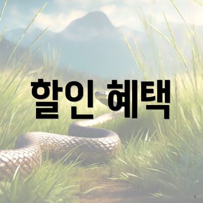 할인 혜택
