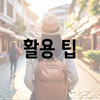 활용 팁
