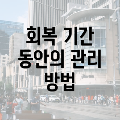회복 기간 동안의 관리 방법