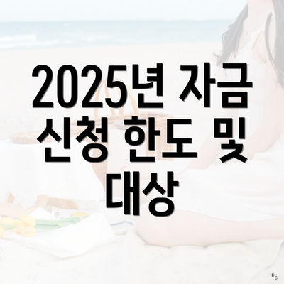 2025년 자금 신청 한도 및 대상