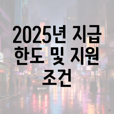2025년 지급 한도 및 지원 조건