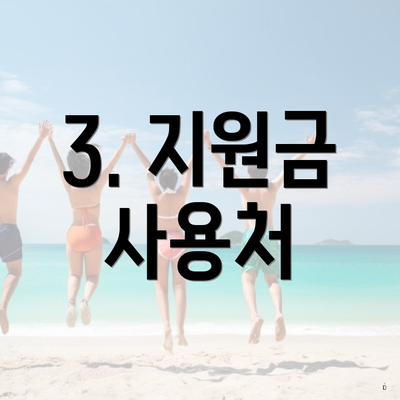 3. 지원금 사용처