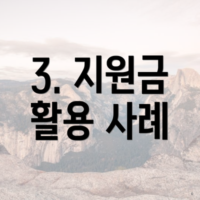 3. 지원금 활용 사례
